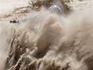 Boj s pskem na Rallye Dakar 