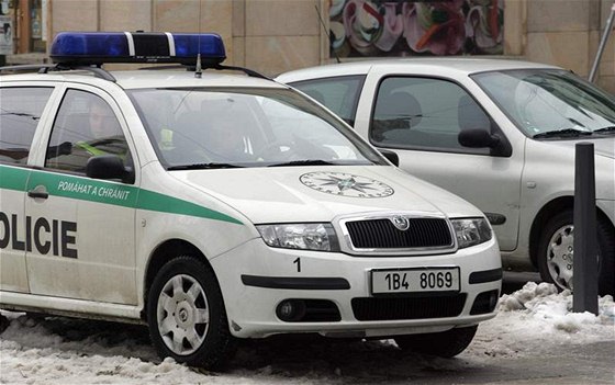 Policisté v Ostrav pejeli mue, který na následky svých zranní zemel.