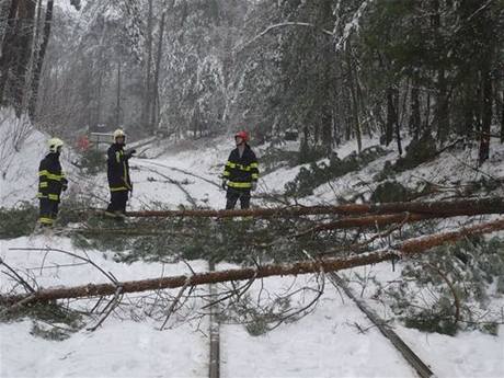 Hasii odstrauj padl stromy na Tra u Rohatce na Hodonnsku