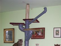 Ideální je kostru šplhadla ukotvit ke stropu a můžete ji začít obalovat sisalovým provazem, vhodným pro kočičí drápky.