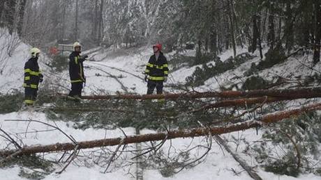 Hasii odstraují padlé stromy na tra u Rohatce na Hodonínsku