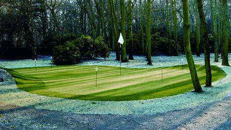 Umlá tráva na golfu.