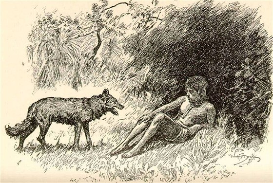 Mauglí z Knihy dunglí na jedné z prvních ilustrací