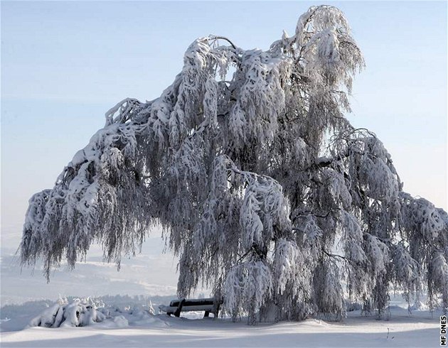 JE�T� JE BRZY. Meteorologové a bookmake�i se shodují: tento obrázek na sv. Martina ne�ekejte.