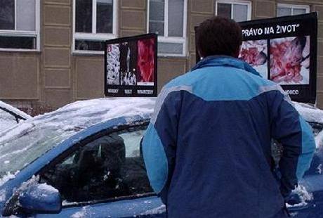 Výstava sdru�ení Stop genocid� p�ed Wichterlovým gymnáziem v Ostrav� (22. ledna 2010).