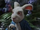 Pracovní snímky k filmu Alenka v íi div - Bílý králík (3D, s pozadím)