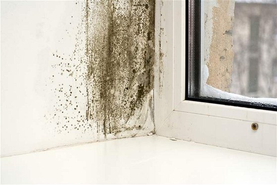Zvýšená vlhkost v okolí okna může způsobit vznik plísní