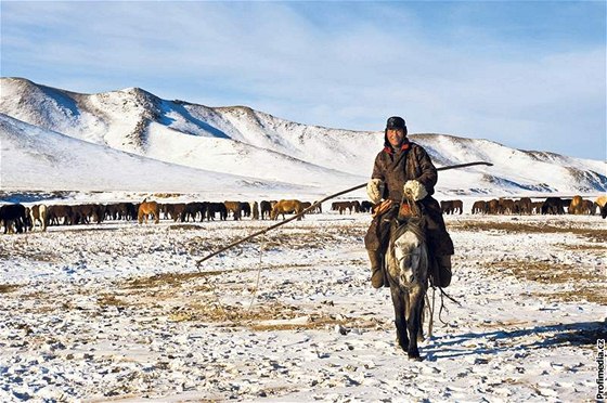 Mongolské stepi pepadly vraedné mrazy a decimují dobytek tamních pastevc.