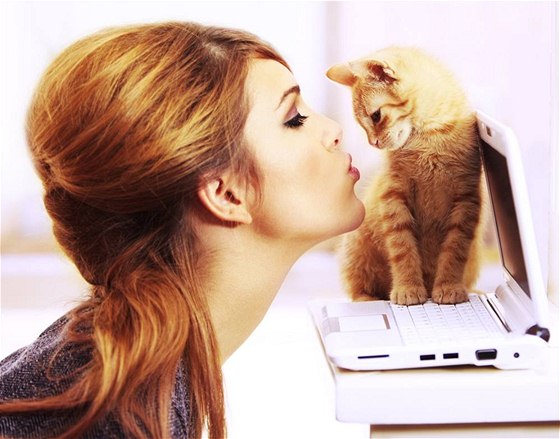 Kočky jsou údajně chytřejší než psi. Totéž tvrdí britští vědci o jejich majitelích. 