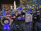 Píznivci Viktora Janukovye na pedvolebním setkání