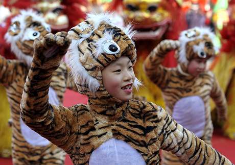 Oslavy roku tygra v Pekingu