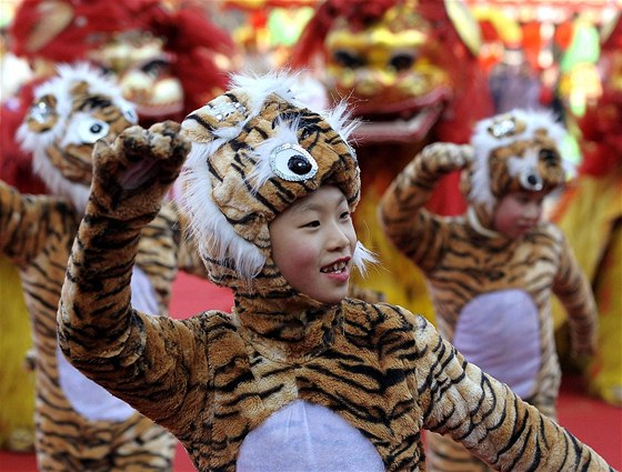 Oslavy roku tygra v Pekingu