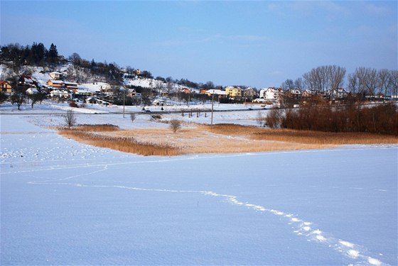 Boskovický mokad