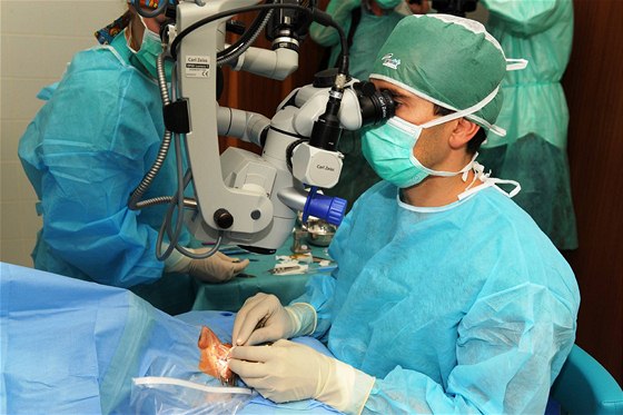 Unikátní operace primáře Pavla Stodůlky (na snímku) - transplantace umělé oční rohovky