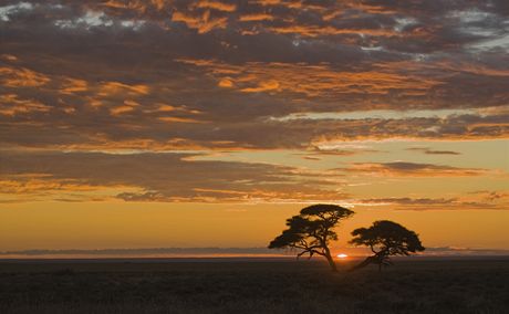 Namibie, Nrodn park Etosha