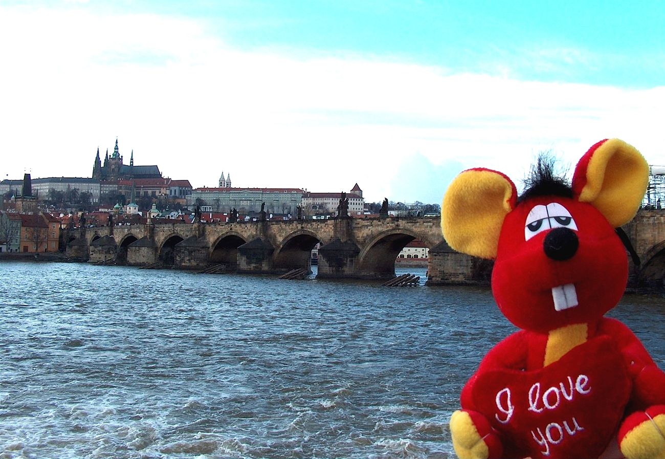 Nová cestovní kancelá� Toy traveling nabízí výlety ply�ák�. Na snímku si ply�ák u�ívá výhled na Hrad�any.