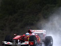 Fernando Alonso s vozem Ferrari pi testech v Jerezu massa