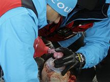 Lékaři oživují Nodara Kumaritašviliho po nehodě na olympijské dráze ve Whistleru. 