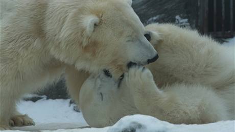 Mla�och Tom p�i h�e s Framinou, nad�jný pár do budoucna. 
