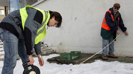 Rekonstrukce vily Tugendhat - dva jeáby pesunovaly nkolikatunový pásový stroj, který tam bude do zahrady instalovat geologické a gegrafické stabilizátory.