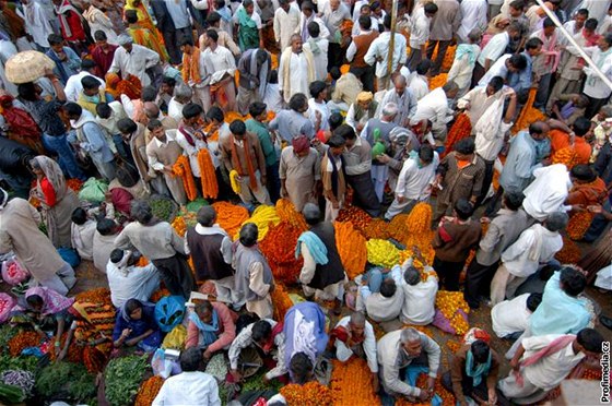 Hinduistické svátky a festivaly navtvují davy indických vících. Ilustraní foto