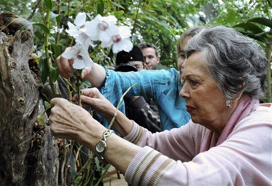 Jiina Jirásková se zúastnila sázení orchidejí v botanické zahrad v Praze Troji