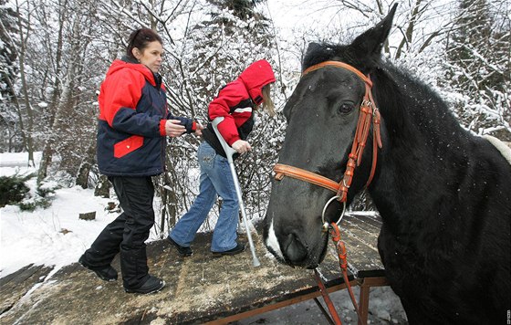 Brněnská Kociánka byla jedním z prvních zařízení v Česku, kde začali děti léčit hipoterapií. S rehabilitací s pomocí koní zde pracují už od roku 1987.