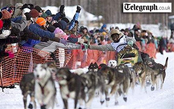 Musher Newton Marshall na závod se svým psím speením.