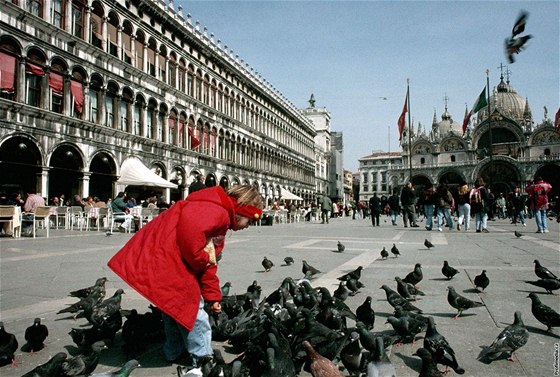 Krmení holub je v mnoha italských mstech zakázáno
