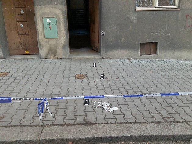 Ilustra�ní snímek