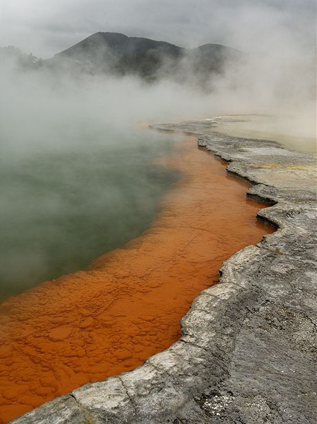 Nov Zland, Severn ostrov. Champagne pool ve Wai-O-Tapu