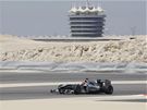 SCHUMI SM V POUTI. Michael Schumacher v Mercedesu pi vodnm trninku GP Bahrajnu.