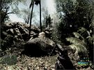 Crysis