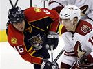 Radim Vrbata (vpravo) z Phoenixu Coyotes blokuje stelu Nathana Hortona z Floridy Panthers