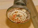 Sprcha v Abotelu Hibiscus, Paí
