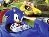 Sonic & Sega All-Star Racing