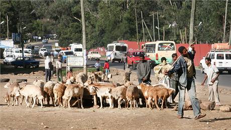eka Tereza Porybná (na snímku) pomáhá v Etiopii kolit uitele.