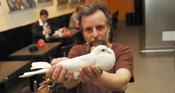 Holubář Milan Stejskal chová jedinečný druh holuba - brněnského voláče