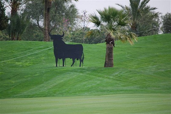 Typický kolorit Open de Andalucia.