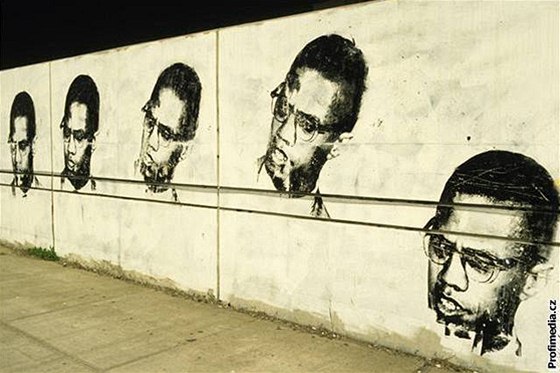 Atentát na Malcolma X byl spáchán 21. února 1965 v newyorské tvrti Manhattan.