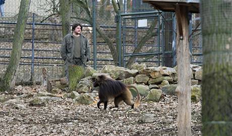 Otevření upraveného výběhu paviána Heika v brněnské zoo (21. 3. 2010). 