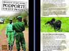 Nejvtmu poddruhu goril, ijcmu v Kongu, hroz pln vyhuben. Pomoc strcm jejich rezervac i zchrannch stanic vybavenm technikou i zbranmi je proto nezbytn. 