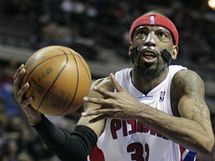 Richard Hamilton z Detroitu Pistons