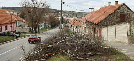 Z Beclavsk ulice ve Valticch zmizely vzrostl stromy, jet letos se tam maj vysadit nov