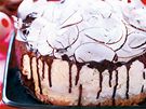 Kokosový dort s okoládovou polevou