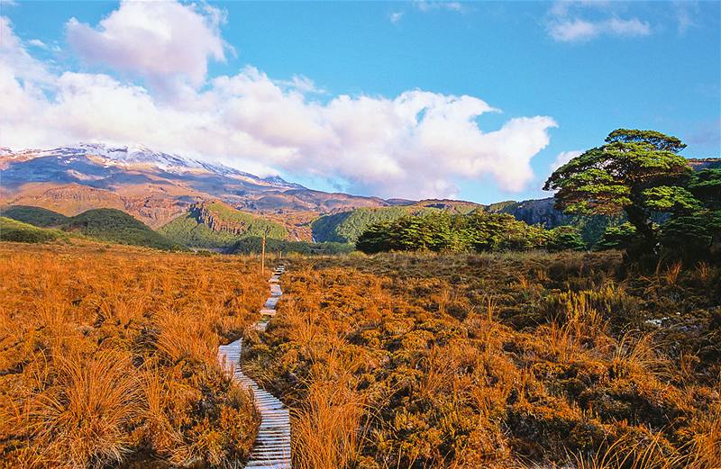 Nový Zéland, Národní park Tongariro 