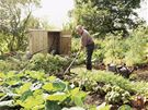 VLADEKO - Devné zahradní kompostéry