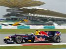První trénink na Velkou cenu Malajsie - Sebastian Vettel