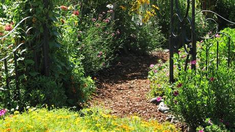 Cesti�ky vysypané d�ev�nou �t�pkou také p�ispívají k omezení výskytu klí��at na zahrad�. 