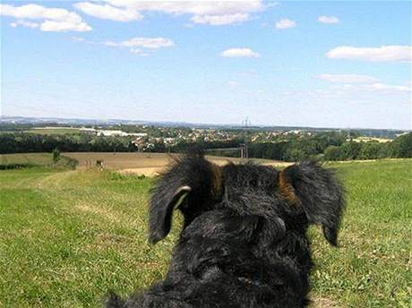 Pohled na obec Libho ze psí perspektivy 